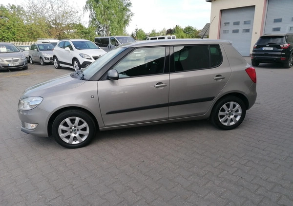 Skoda Fabia cena 18800 przebieg: 135700, rok produkcji 2011 z Trzcińsko-Zdrój małe 172